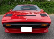 1986 Pontiac Trans Am SE 308 GTS Replica Machiavelli