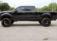 2017 Ford F-250 Super Duty Platinum Crew Cab Power Stroke