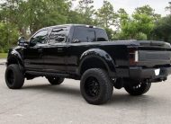 2017 Ford F-250 Super Duty Platinum Crew Cab Power Stroke
