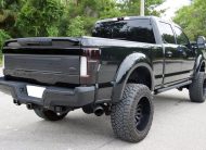 2017 Ford F-250 Super Duty Platinum Crew Cab Power Stroke