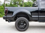 2017 Ford F-250 Super Duty Platinum Crew Cab Power Stroke