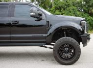 2017 Ford F-250 Super Duty Platinum Crew Cab Power Stroke