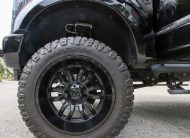 2017 Ford F-250 Super Duty Platinum Crew Cab Power Stroke