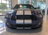 2010 Ford Mustang GT500