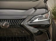 2019 Lexus ES 350 With Navigation