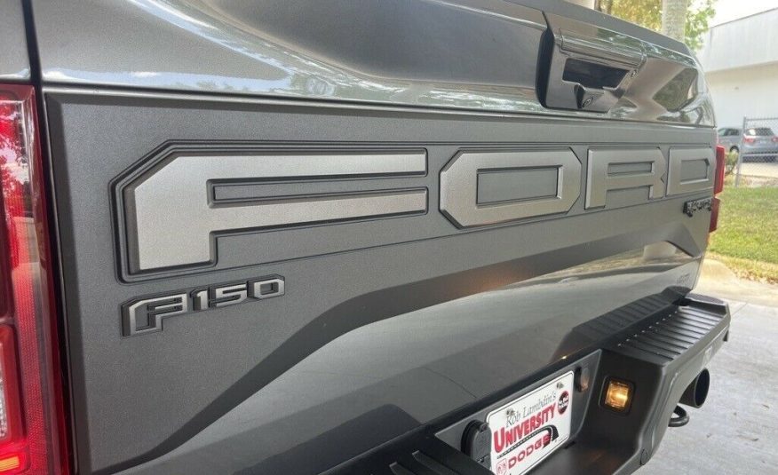 2019 Ford F-150 Raptor