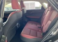 2020 Lexus NX 300 Base