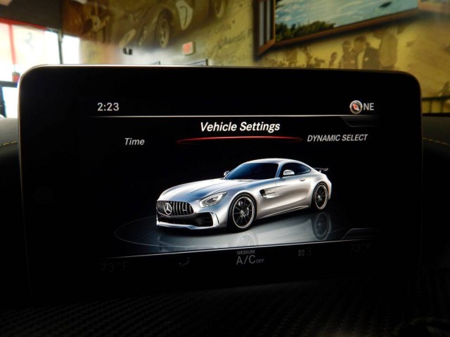 2018 Mercedes-Benz AMG GT AMG GT R