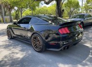 2017 Ford Mustang Shelby GT350