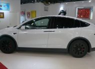 2019 Tesla Model X PERFORMANCE
