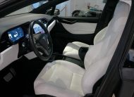 2019 Tesla Model X PERFORMANCE