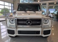 2018 Mercedes-Benz G-Class AMG G 63