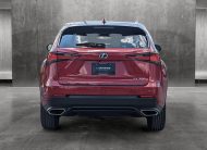 2021 Lexus NX