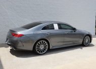 2019 Mercedes-Benz CLS-Class CLS 450