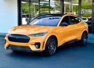 2021 Ford Mustang Mach-E GT AWD